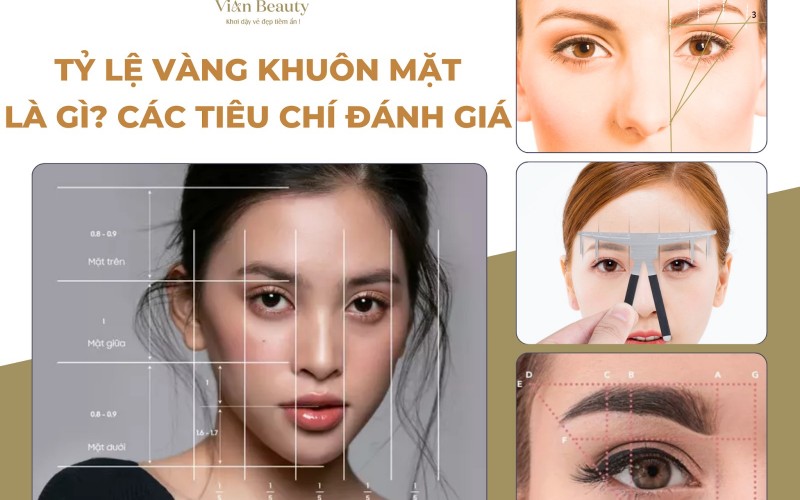 Tỷ Lệ Vàng Khuôn Mặt Là Gì? Các Tiêu Chí Đánh Giá